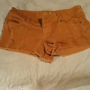 Wallflower curdory shorts